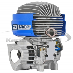 Iame Mini Pro-M 60cc engine...