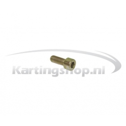 Powervalve bout M6x16mm (10Nm)