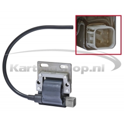 Ignition Coil DD2
