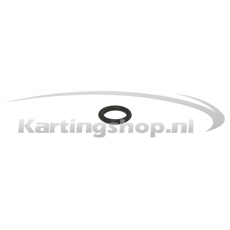 Iame X30 O-ring cilinderkop-tapend