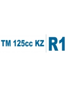 TM KZ-R1 delar